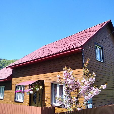 Penzion Відпочинок У Карпатах, Мінеральні Ванни, Банний Чан! Verkhnyaya Bystra Exteriér fotografie